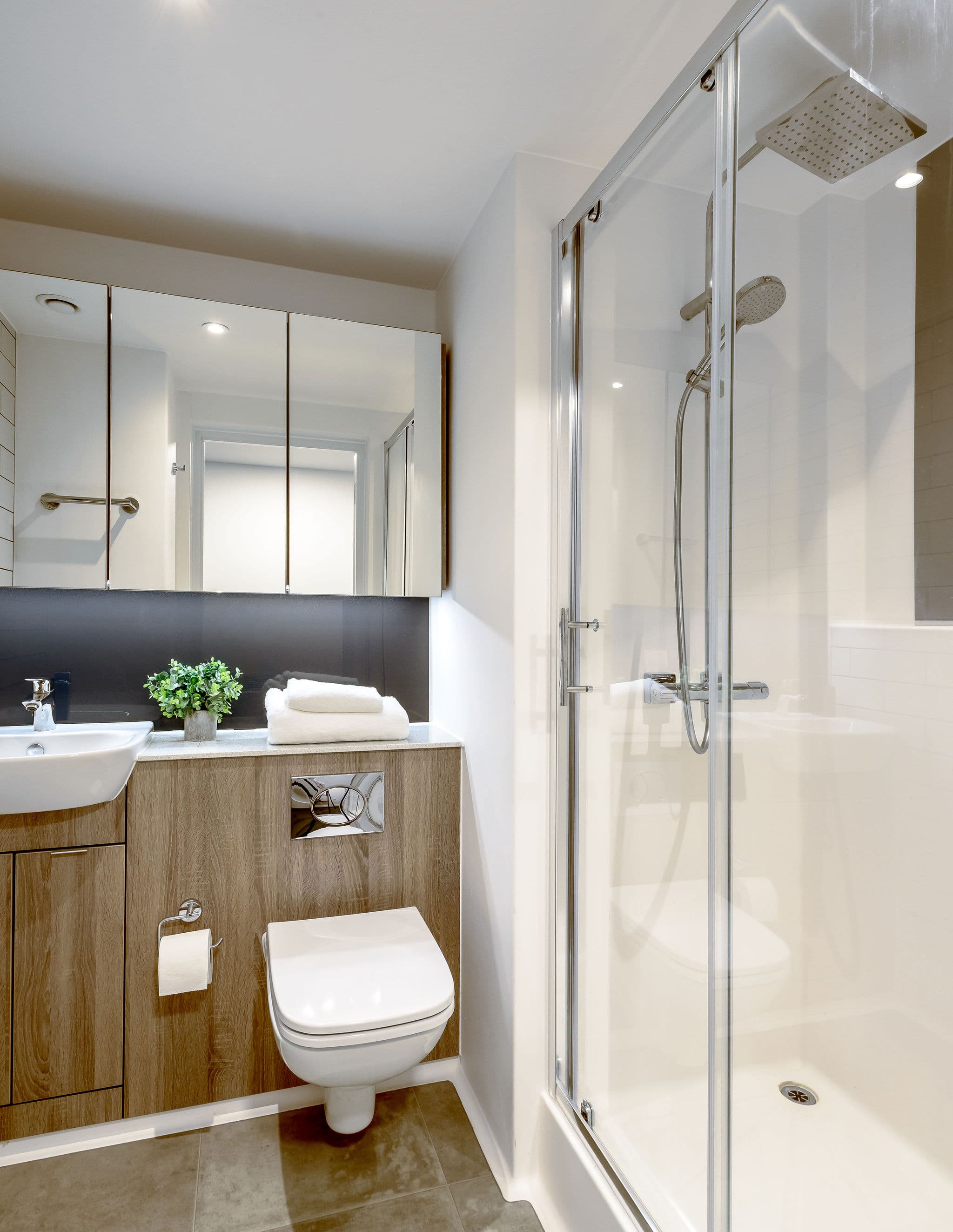 True Ensuite/Apartment, Nottingham - view 5